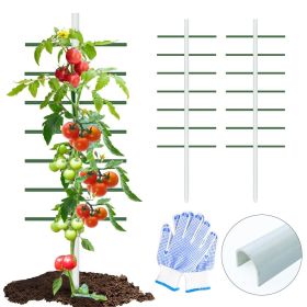 4FT*1.64FT 2PC This white U-shaped tube climbing trellis is simple and stylish, offering stable support and creating an elegant green space.