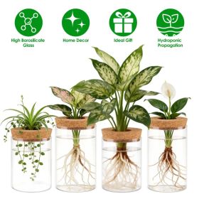 4Pack Glass Propagation Stations For Plants Indoor Glass Planters Hydroponic Plant Vases 2 Large 2 Small For Plant Cuttings Flower Arrangements (Option: 4PcsSet)