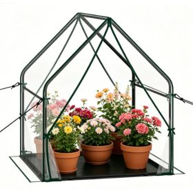 36" x 36" x 43" Mini Outdoor Greenhouse with Detachable PE Bottom Mat, HeavyDuty Metal Frame Small Grow Tent with Wind Ropes & Ground Stakes for (Option: Default title)