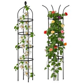 2 Packs Garden Obelisk Trellis 5.9FT Plants Tower for Climbing Plants Flower Vegetable Vine Support Rustproof Garden Plant Trellis Black (Option: Green)
